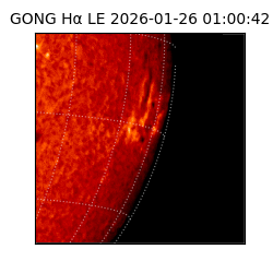 gong - 2026-01-26T01:00:42