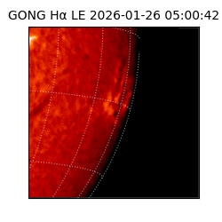 gong - 2026-01-26T05:00:42
