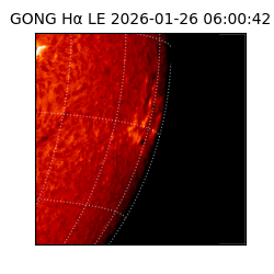 gong - 2026-01-26T06:00:42