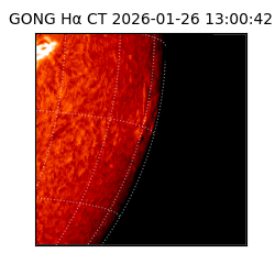 gong - 2026-01-26T13:00:42