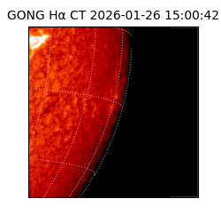 gong - 2026-01-26T15:00:42