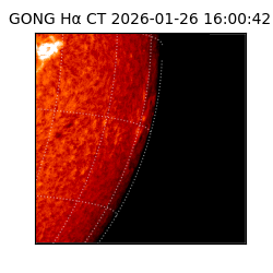 gong - 2026-01-26T16:00:42