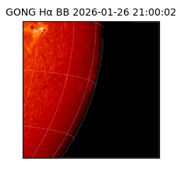 gong - 2026-01-26T21:00:02