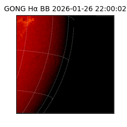 gong - 2026-01-26T22:00:02