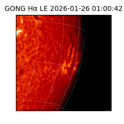 gong - 2026-01-26T01:00:42