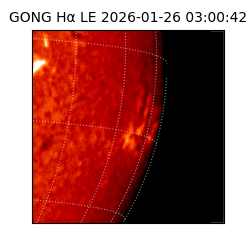 gong - 2026-01-26T03:00:42