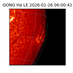 gong - 2026-01-26T06:00:42