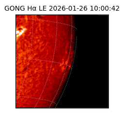 gong - 2026-01-26T10:00:42