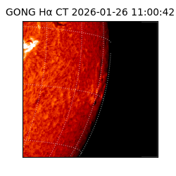 gong - 2026-01-26T11:00:42