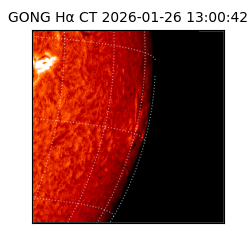 gong - 2026-01-26T13:00:42