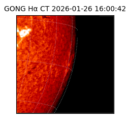 gong - 2026-01-26T16:00:42