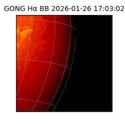 gong - 2026-01-26T17:03:02