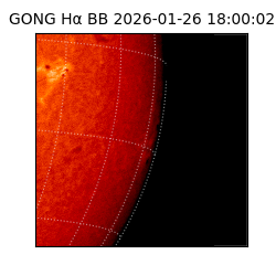 gong - 2026-01-26T18:00:02