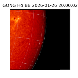 gong - 2026-01-26T20:00:02