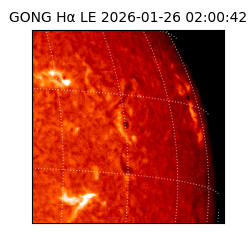 gong - 2026-01-26T02:00:42