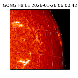 gong - 2026-01-26T06:00:42