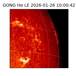 gong - 2026-01-26T10:00:42