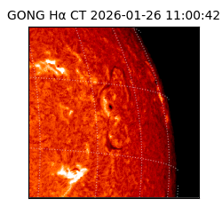 gong - 2026-01-26T11:00:42