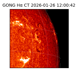 gong - 2026-01-26T12:00:42