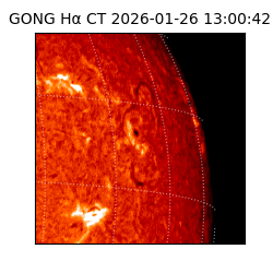 gong - 2026-01-26T13:00:42
