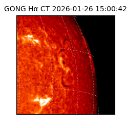 gong - 2026-01-26T15:00:42