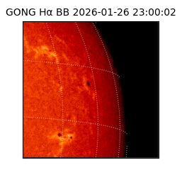 gong - 2026-01-26T23:00:02
