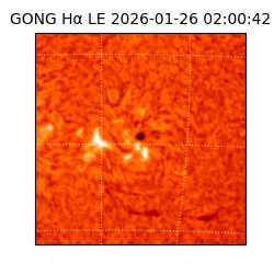 gong - 2026-01-26T02:00:42