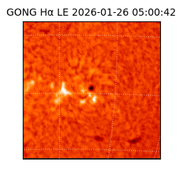 gong - 2026-01-26T05:00:42