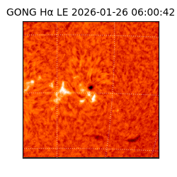 gong - 2026-01-26T06:00:42