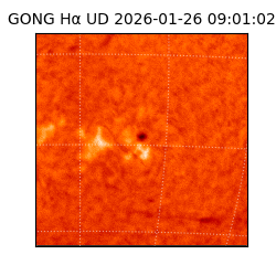 gong - 2026-01-26T09:01:02