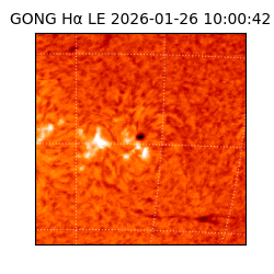 gong - 2026-01-26T10:00:42