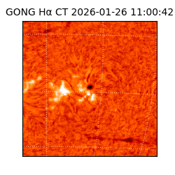 gong - 2026-01-26T11:00:42