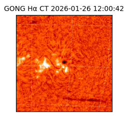 gong - 2026-01-26T12:00:42