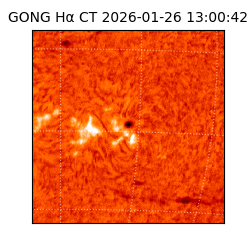 gong - 2026-01-26T13:00:42