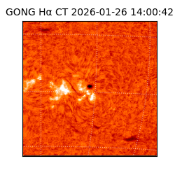 gong - 2026-01-26T14:00:42