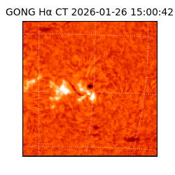 gong - 2026-01-26T15:00:42