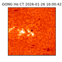 gong - 2026-01-26T16:00:42