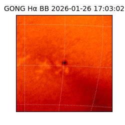gong - 2026-01-26T17:03:02