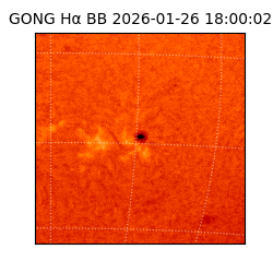 gong - 2026-01-26T18:00:02