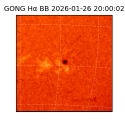 gong - 2026-01-26T20:00:02