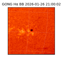 gong - 2026-01-26T21:00:02