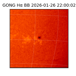 gong - 2026-01-26T22:00:02