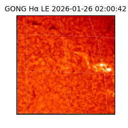 gong - 2026-01-26T02:00:42