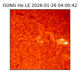 gong - 2026-01-26T04:00:42