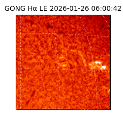 gong - 2026-01-26T06:00:42