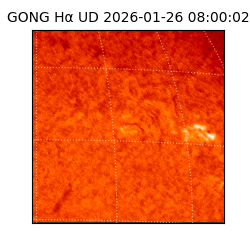 gong - 2026-01-26T08:00:02