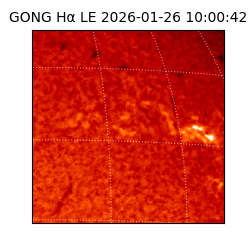 gong - 2026-01-26T10:00:42