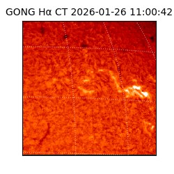 gong - 2026-01-26T11:00:42