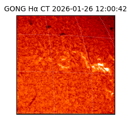 gong - 2026-01-26T12:00:42