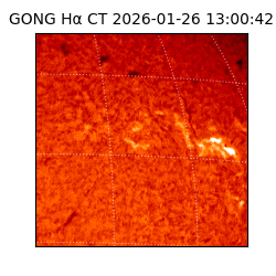 gong - 2026-01-26T13:00:42